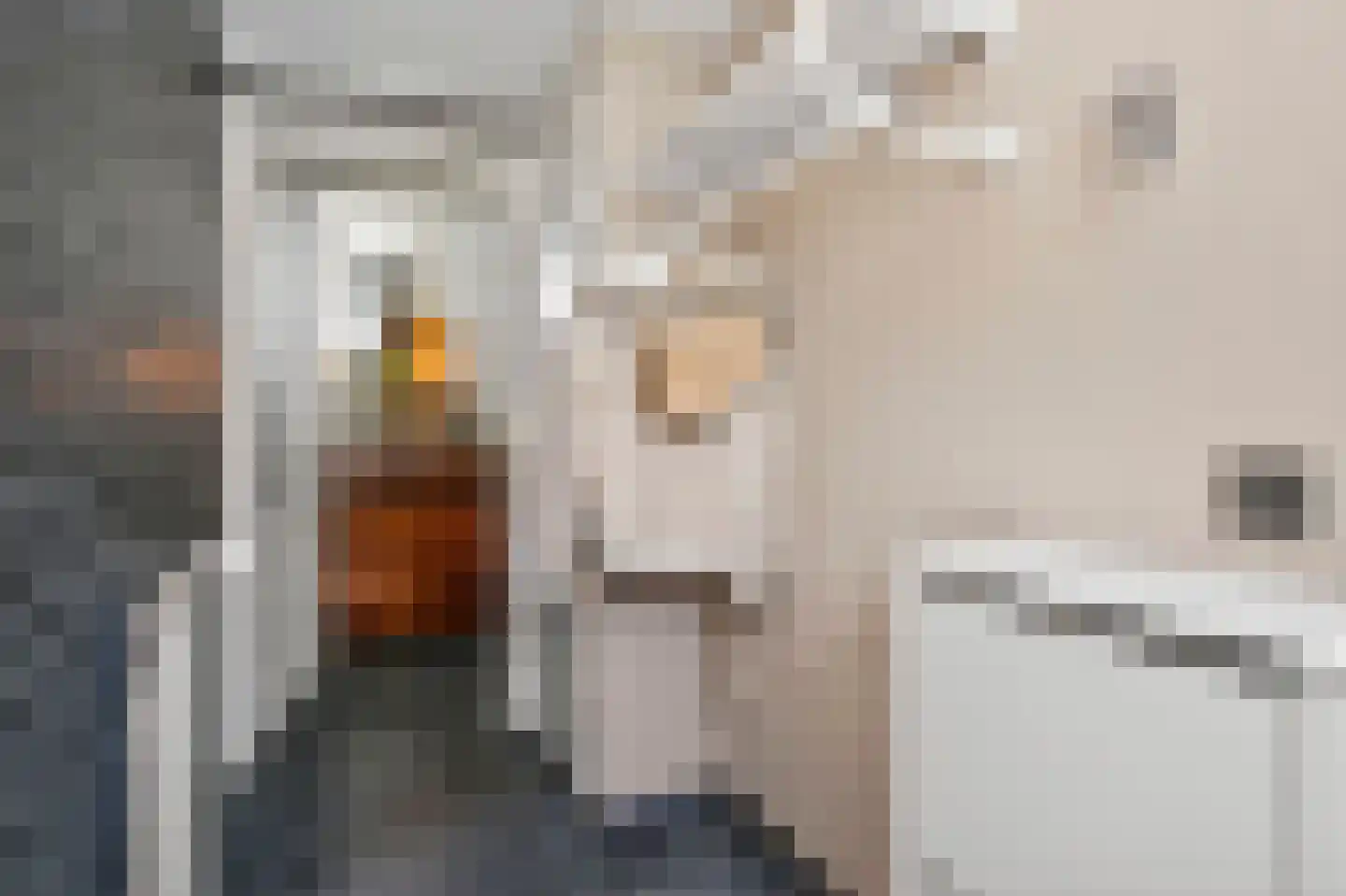 Karolingersweg 138 Wijk bij Duurstede thumbnail 4