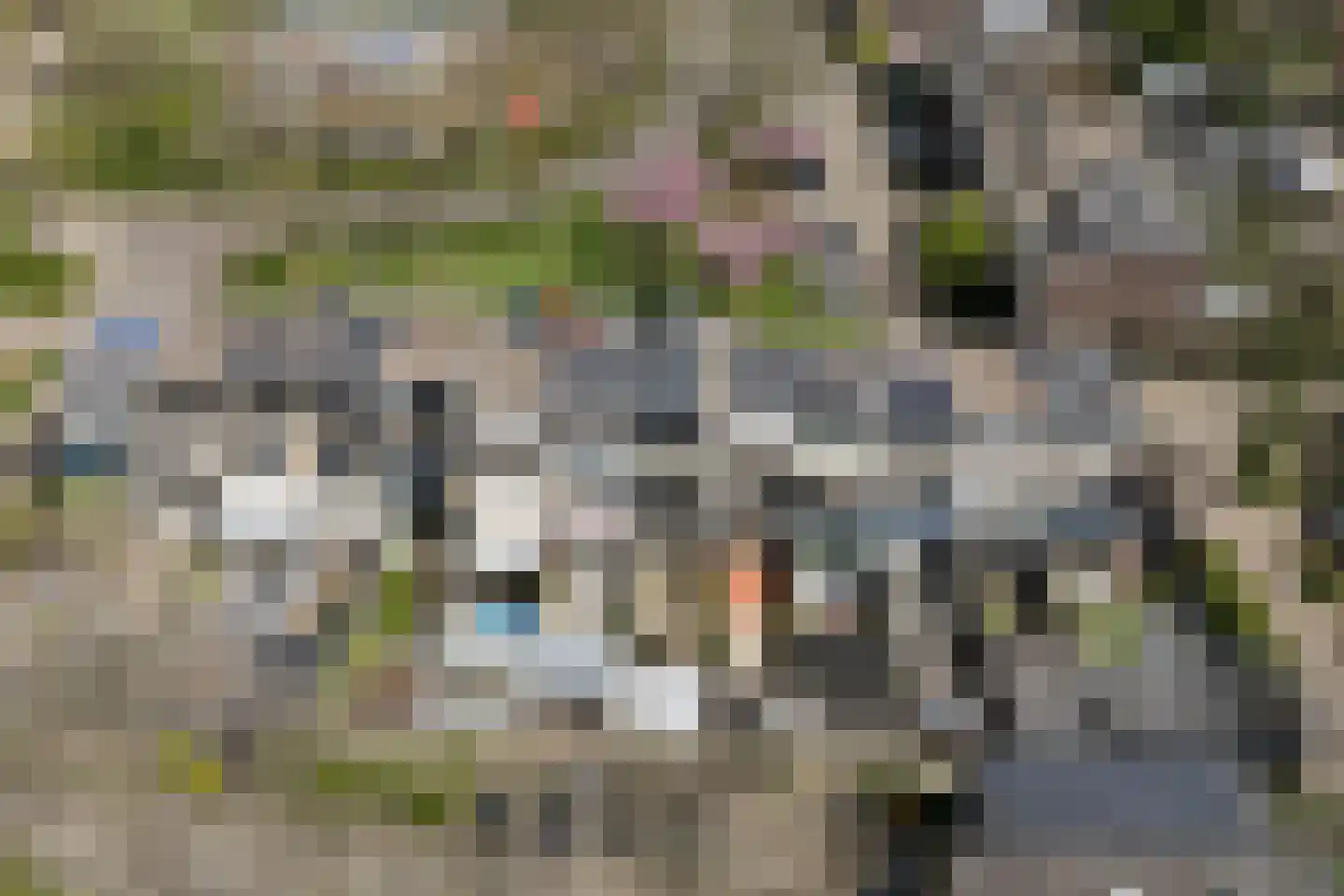Karolingersweg 138 Wijk bij Duurstede thumbnail 42