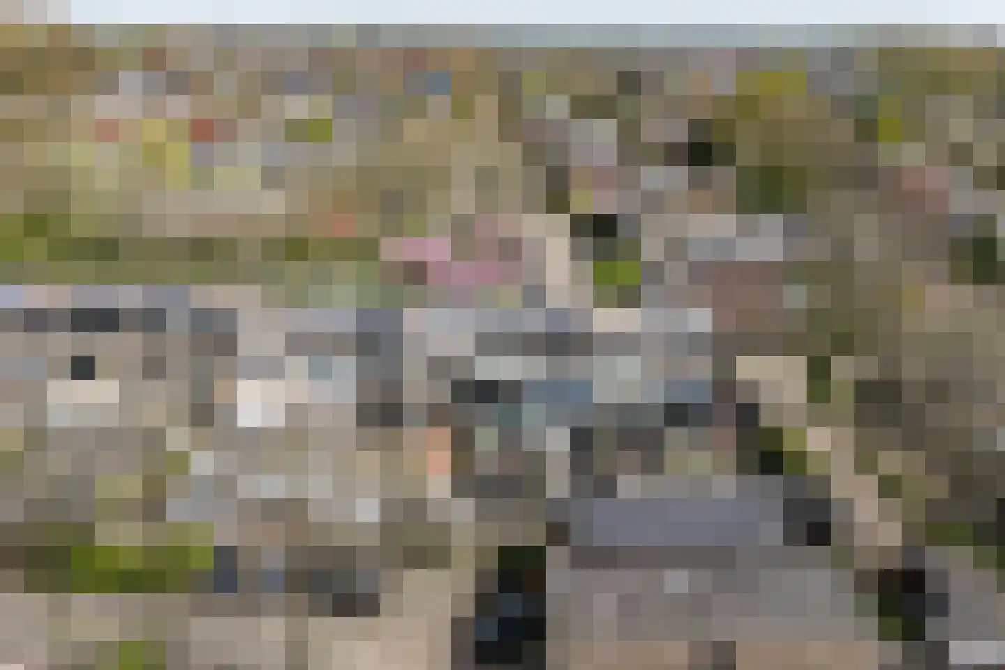 Karolingersweg 138 Wijk bij Duurstede thumbnail 43