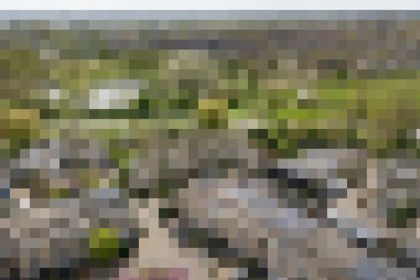 Karolingersweg 138 Wijk bij Duurstede thumbnail 46