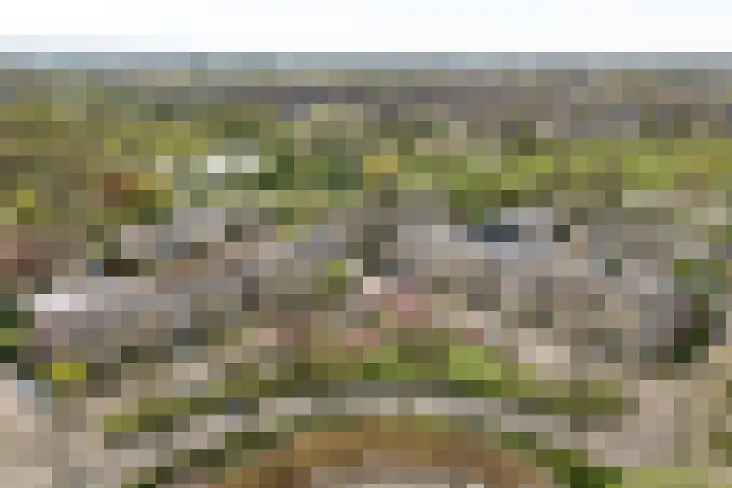 Karolingersweg 138 Wijk bij Duurstede thumbnail 47