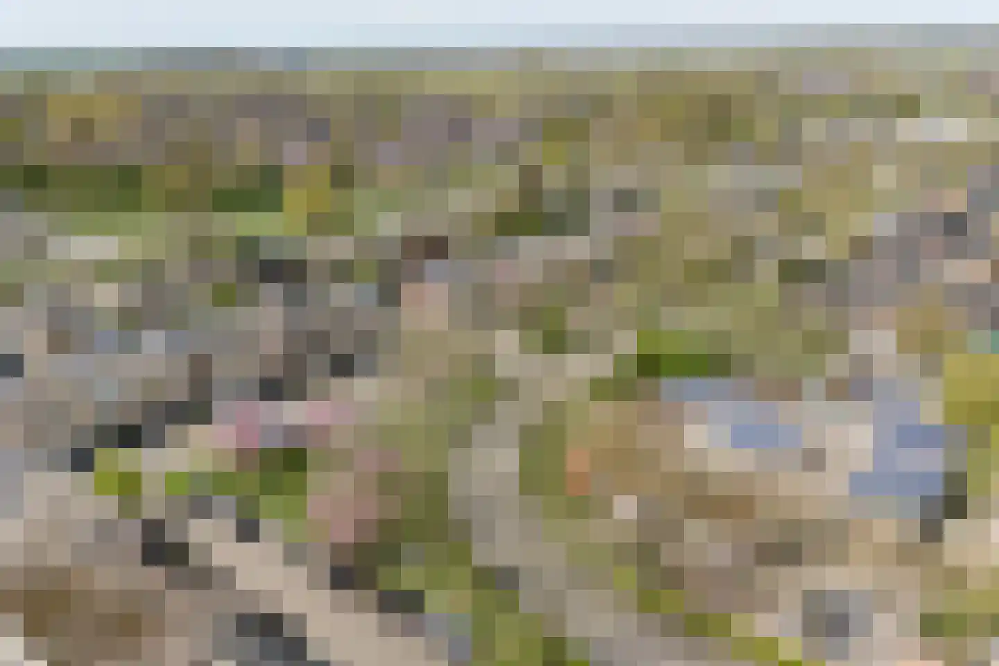 Karolingersweg 138 Wijk bij Duurstede thumbnail 48