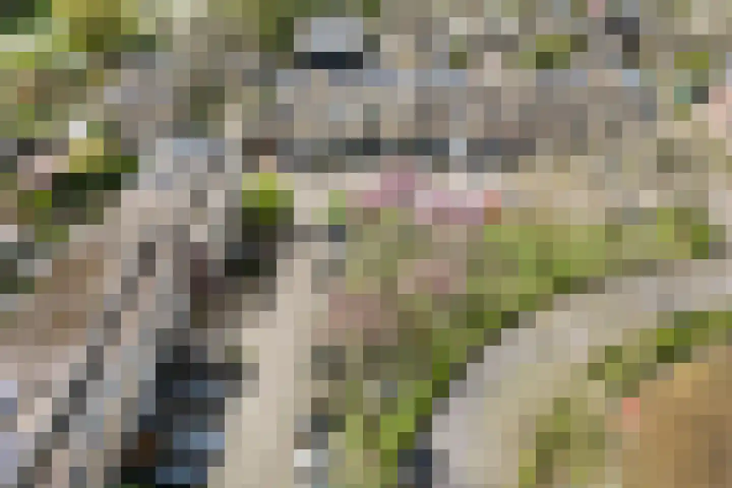 Karolingersweg 138 Wijk bij Duurstede thumbnail 49