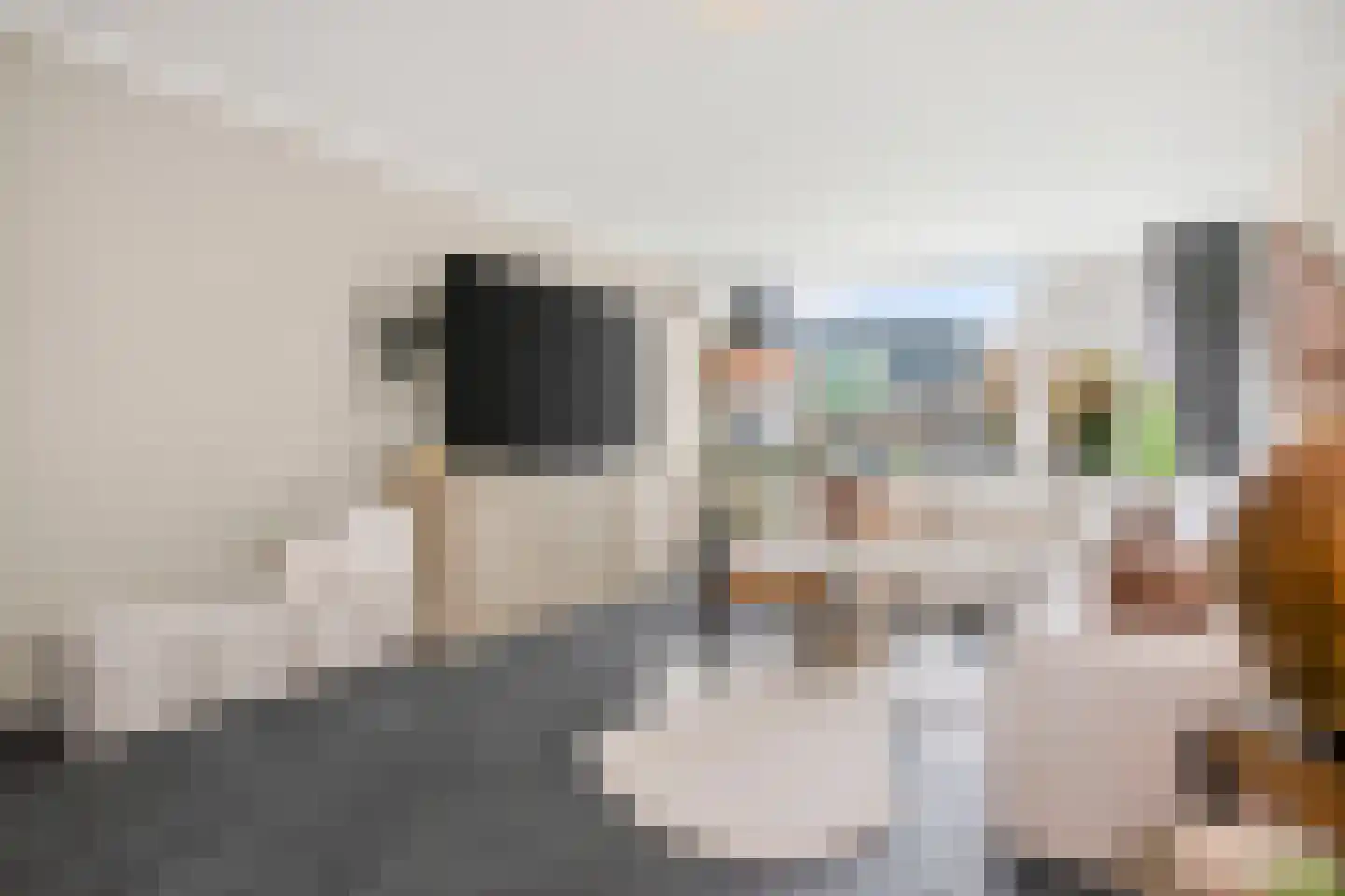 Karolingersweg 138 Wijk bij Duurstede thumbnail 5