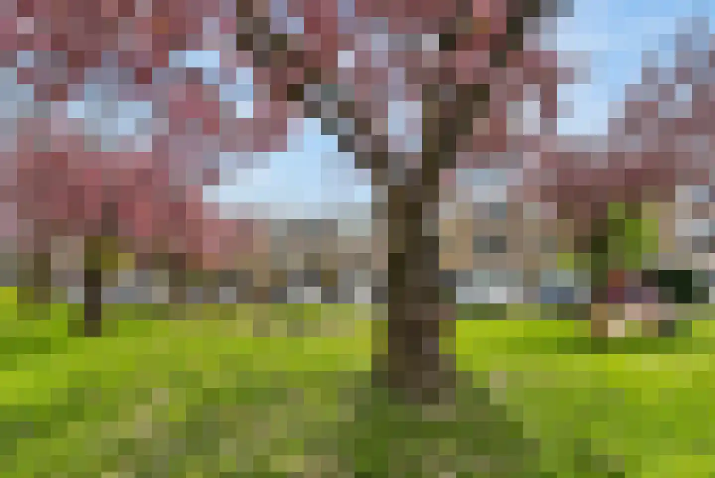 Karolingersweg 138 Wijk bij Duurstede thumbnail 52