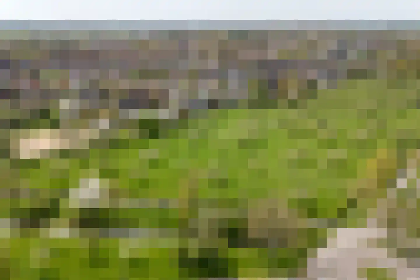 Karolingersweg 138 Wijk bij Duurstede thumbnail 53
