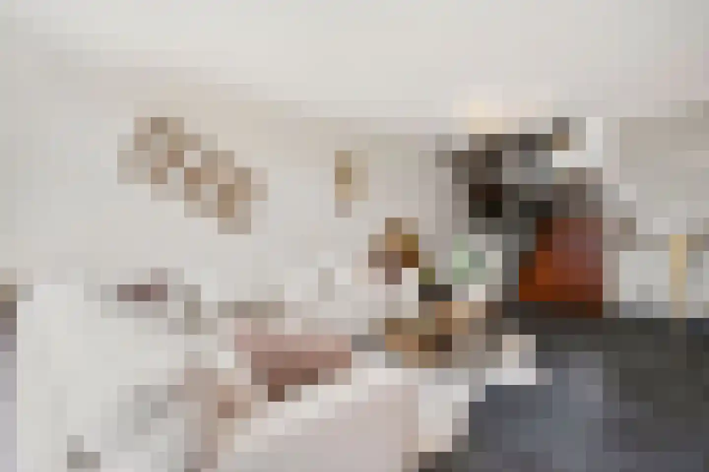 Karolingersweg 138 Wijk bij Duurstede thumbnail 7