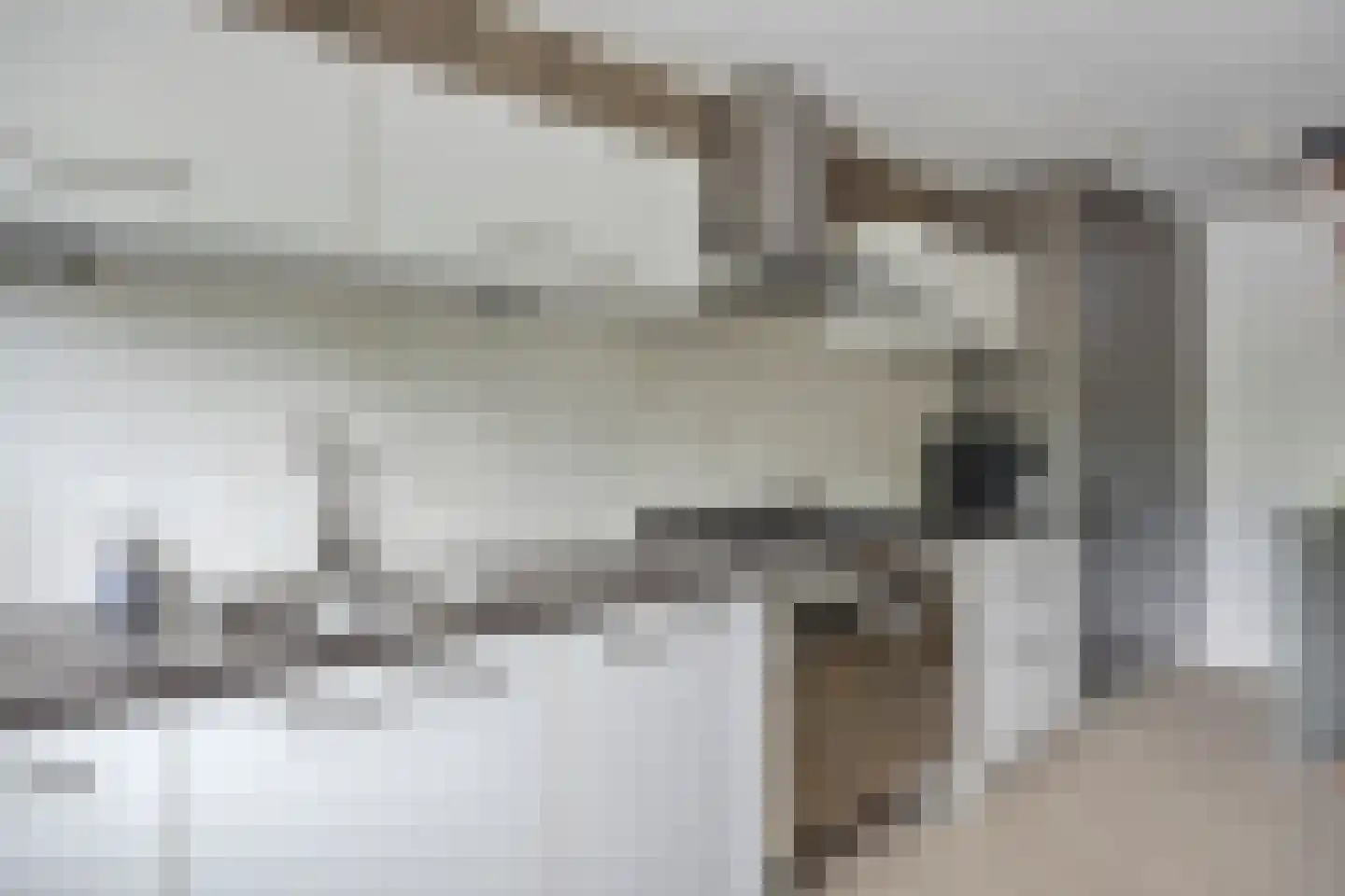 Karolingersweg 142 Wijk bij Duurstede thumbnail 14