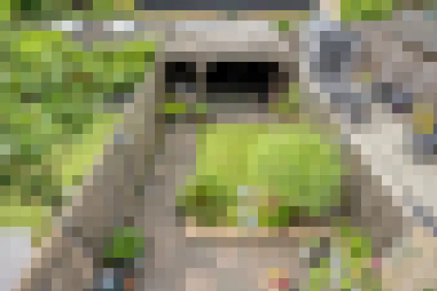 Karolingersweg 142 Wijk bij Duurstede thumbnail 28