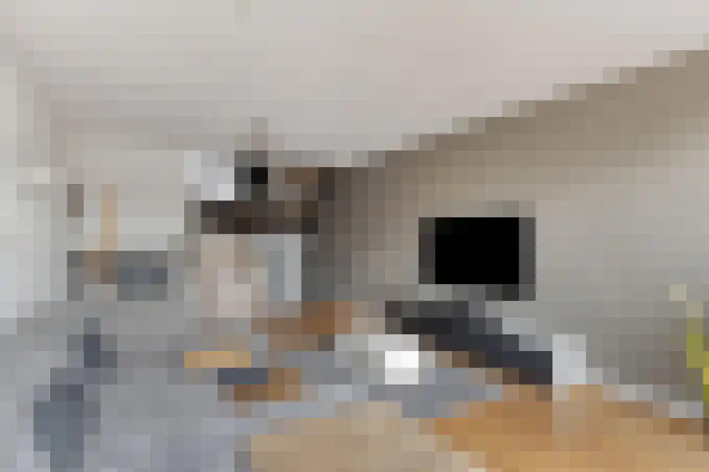 Karolingersweg 162 Wijk bij Duurstede thumbnail 16