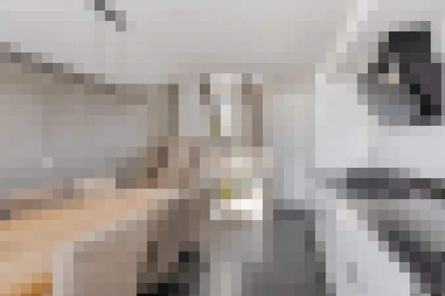 Karolingersweg 162 Wijk bij Duurstede thumbnail 19