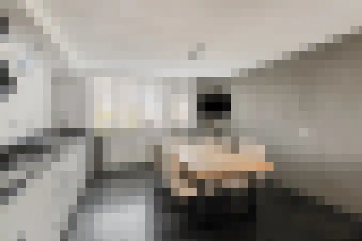 Karolingersweg 162 Wijk bij Duurstede thumbnail 20