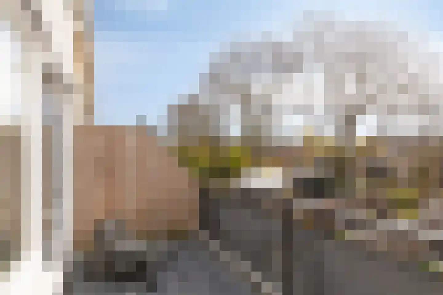 Karolingersweg 162 Wijk bij Duurstede thumbnail 26