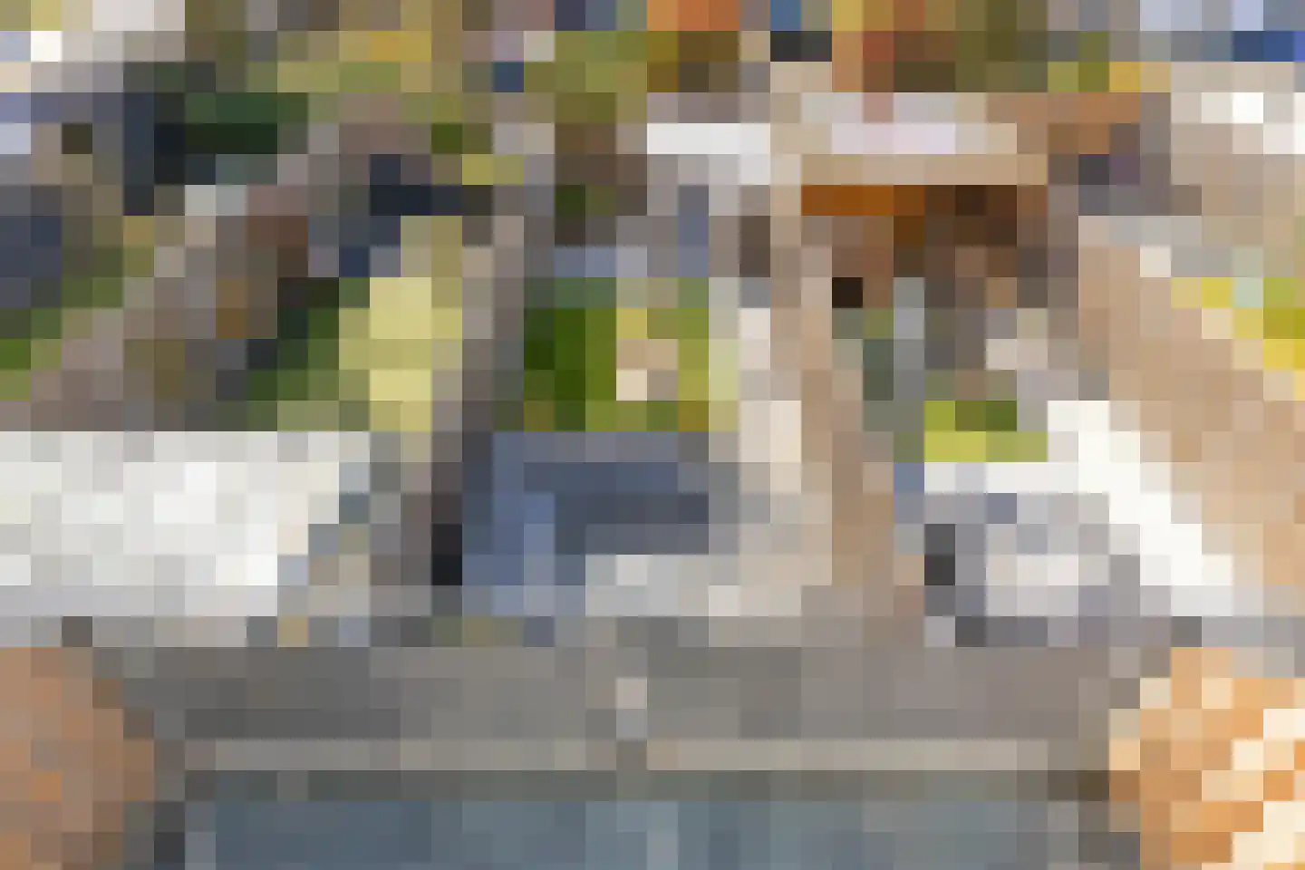 Karolingersweg 162 Wijk bij Duurstede thumbnail 27