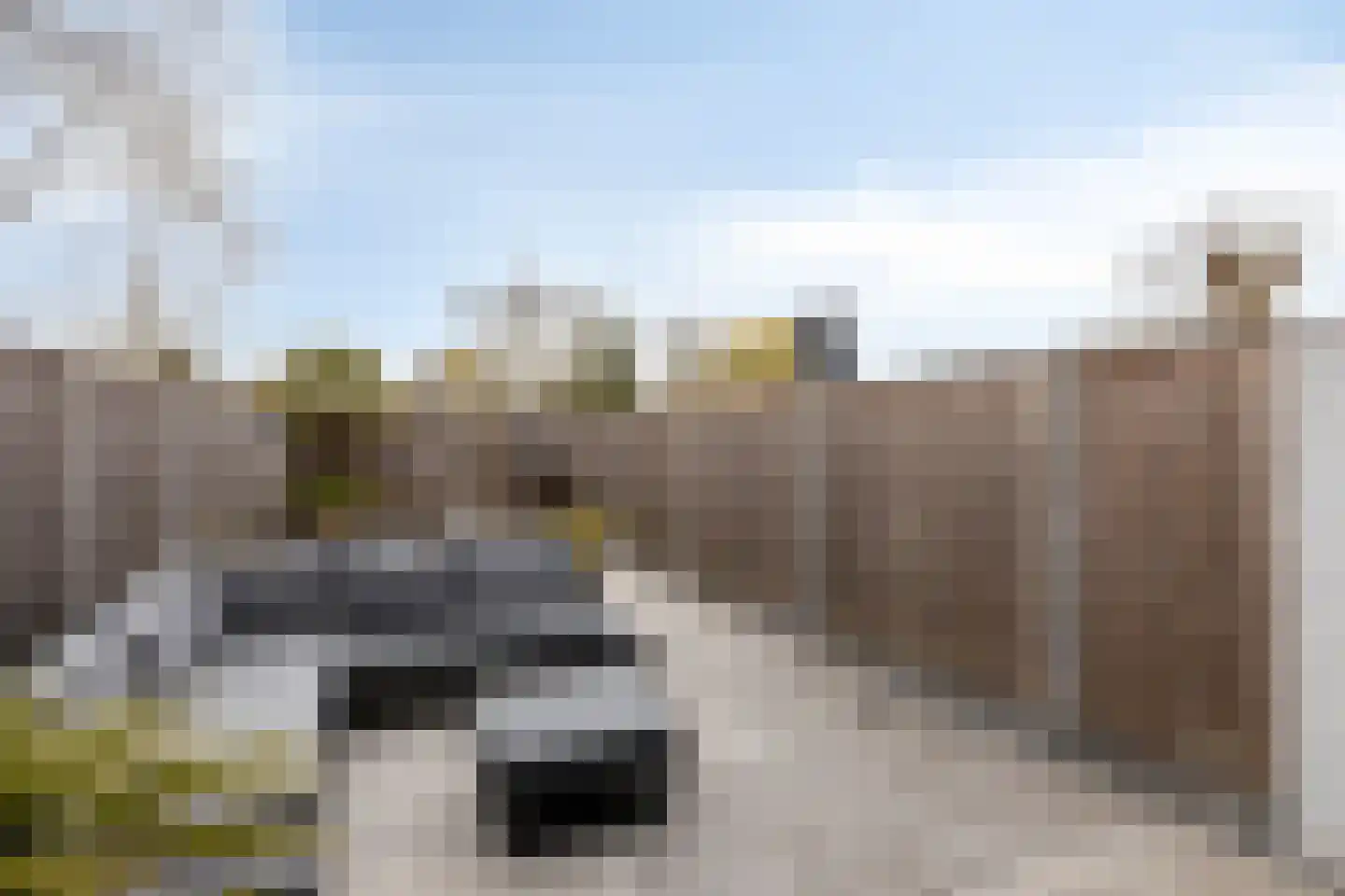 Karolingersweg 162 Wijk bij Duurstede thumbnail 42
