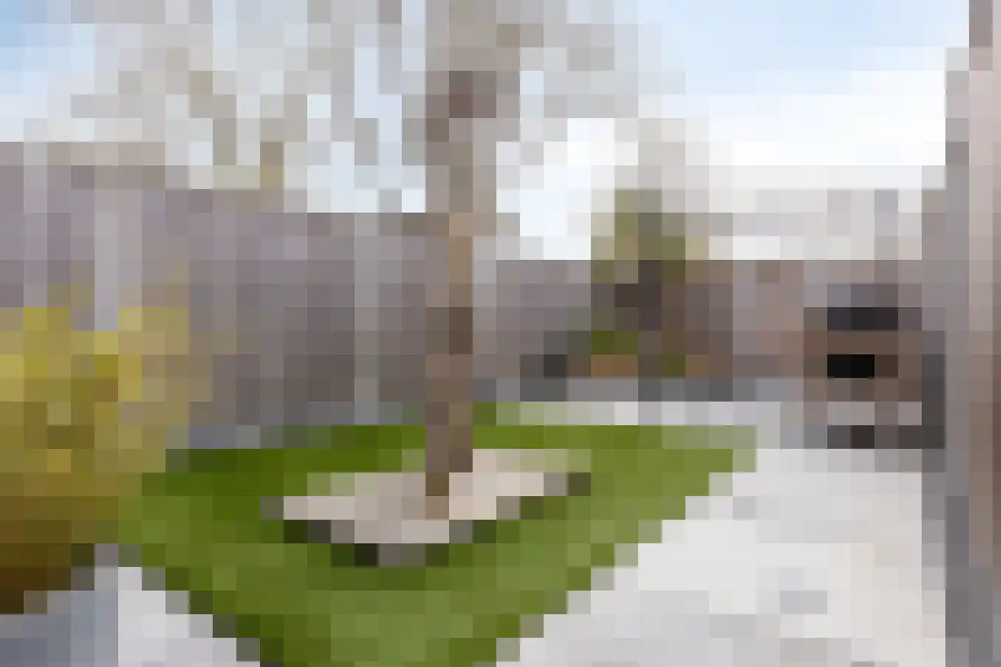Karolingersweg 162 Wijk bij Duurstede thumbnail 43
