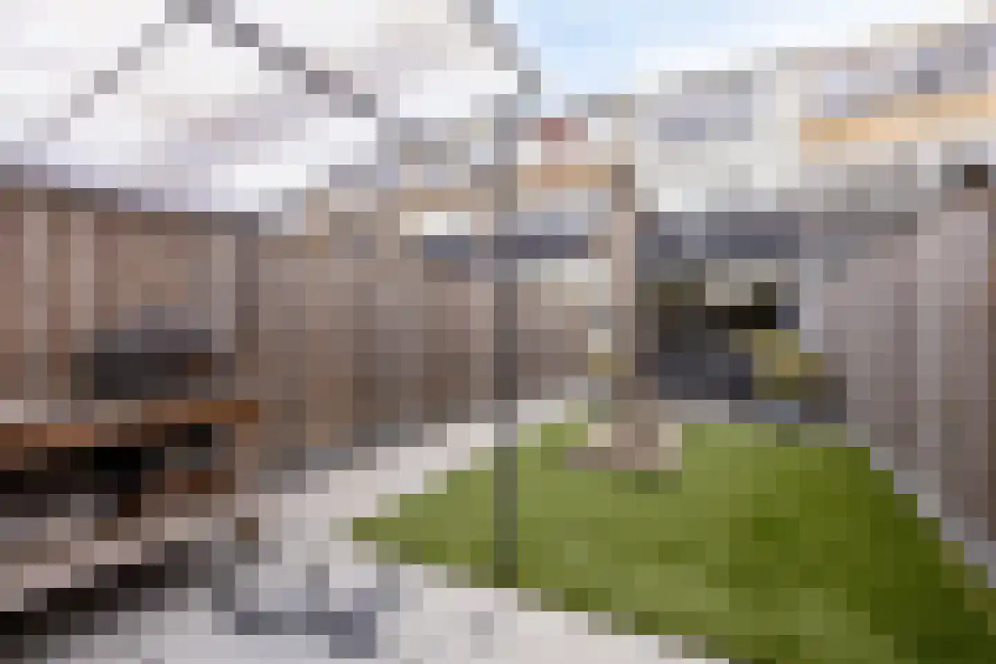 Karolingersweg 162 Wijk bij Duurstede thumbnail 45