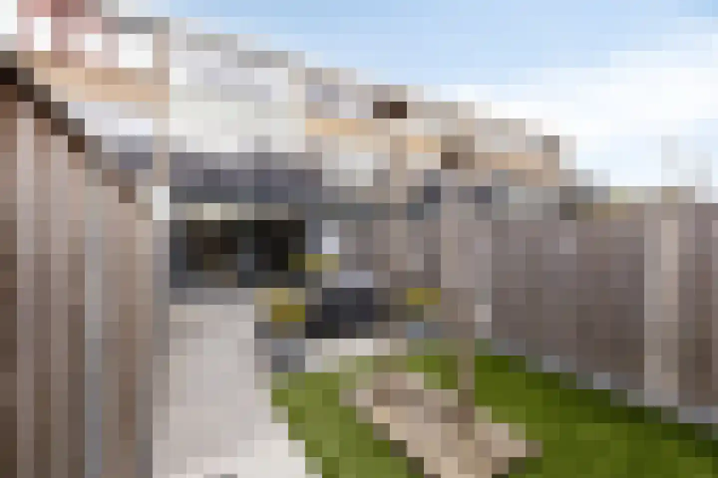 Karolingersweg 162 Wijk bij Duurstede thumbnail 46