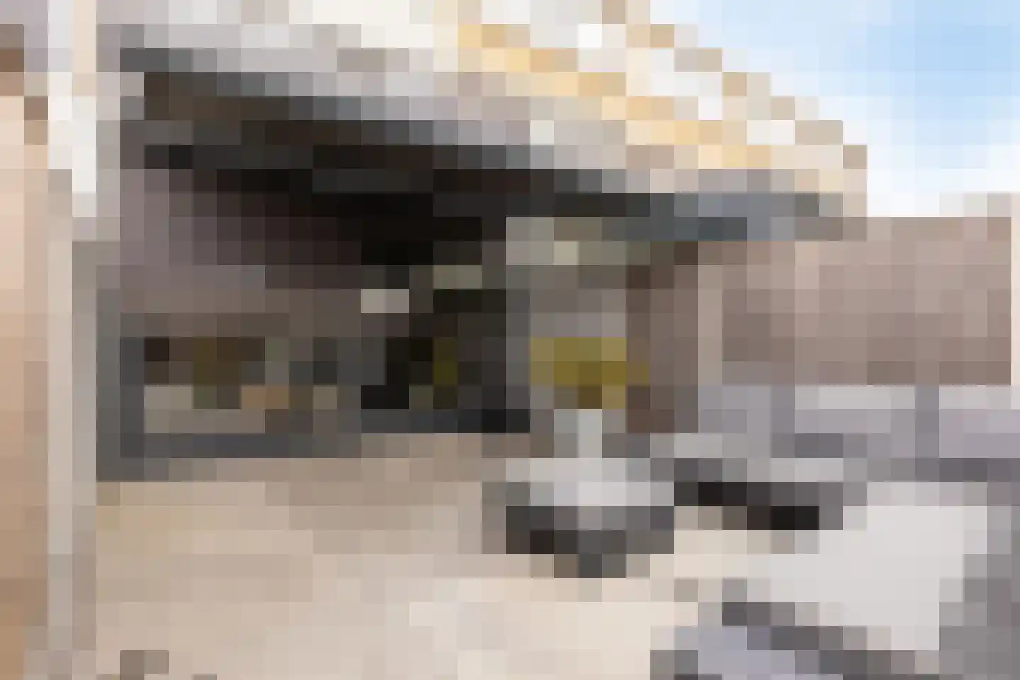 Karolingersweg 162 Wijk bij Duurstede thumbnail 48