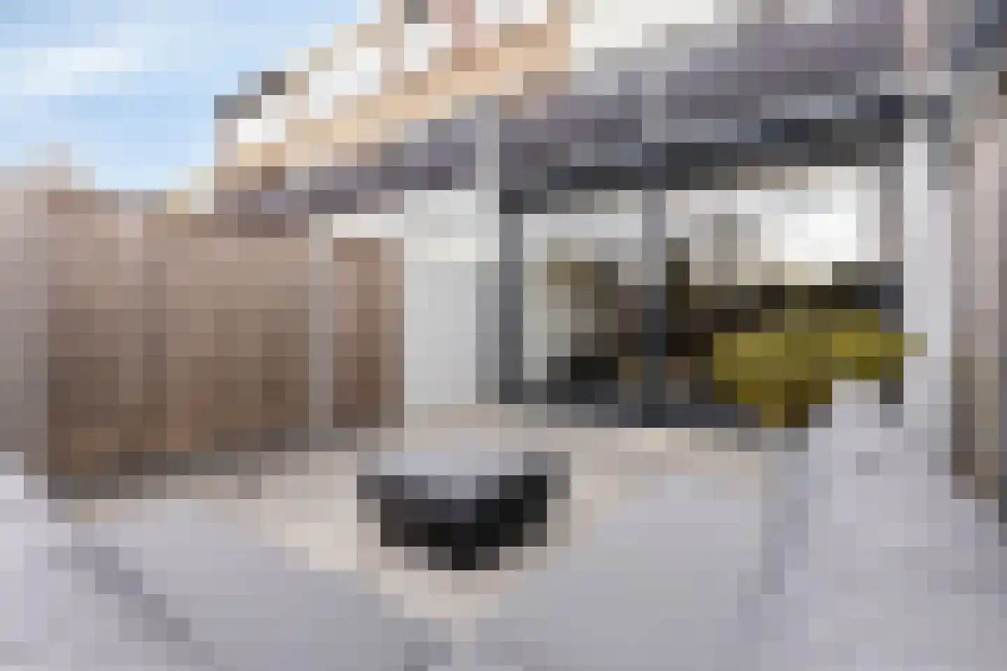 Karolingersweg 162 Wijk bij Duurstede thumbnail 49