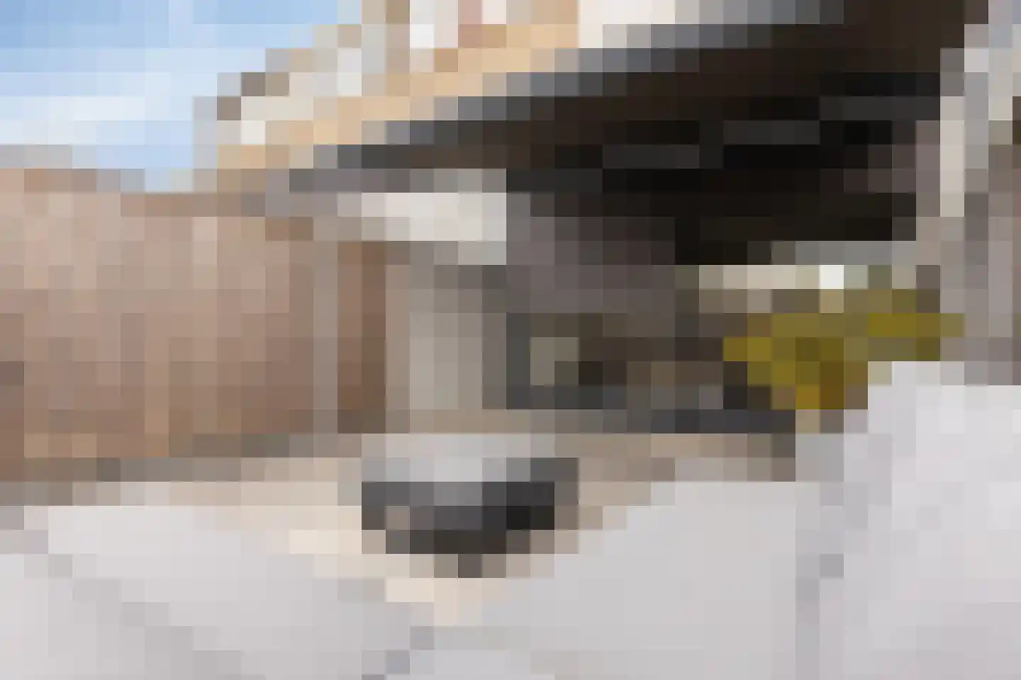 Karolingersweg 162 Wijk bij Duurstede thumbnail 50
