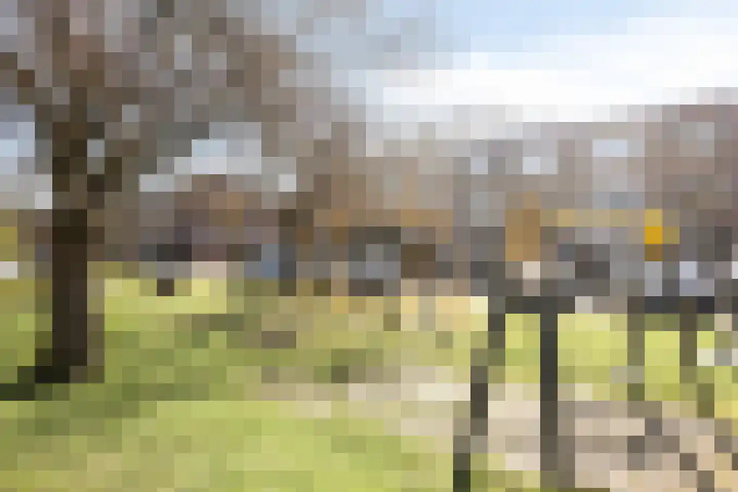 Karolingersweg 162 Wijk bij Duurstede thumbnail 52