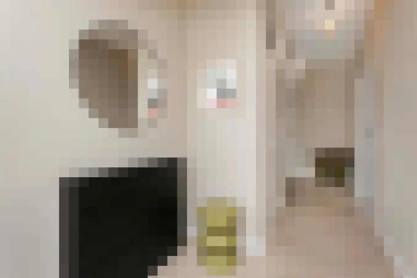 Karolingersweg 173 Wijk bij Duurstede thumbnail 18