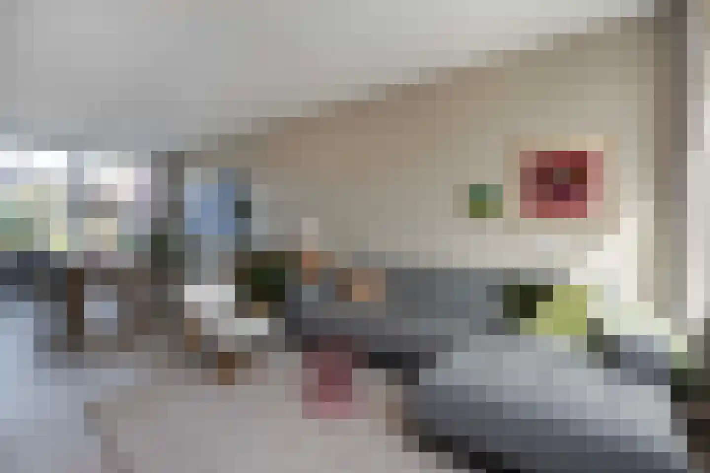 Karolingersweg 173 Wijk bij Duurstede thumbnail 8