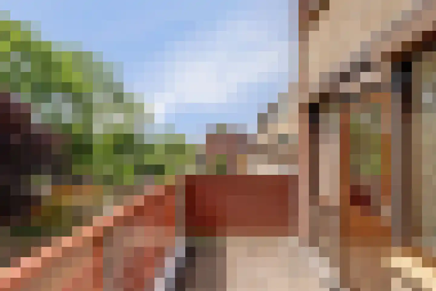 Karolingersweg 182 Wijk bij Duurstede thumbnail 17