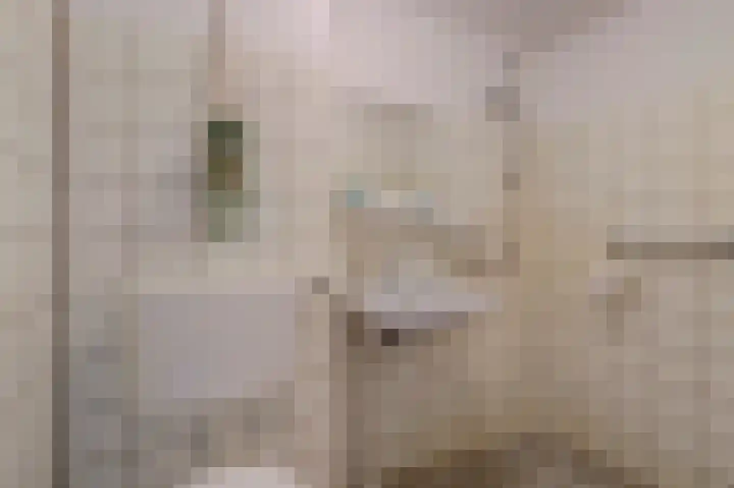 Karolingersweg 182 Wijk bij Duurstede thumbnail 22