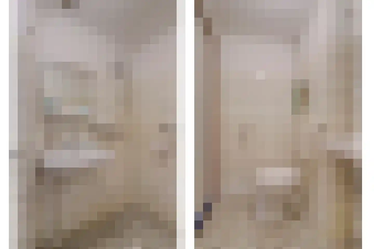 Karolingersweg 182 Wijk bij Duurstede thumbnail 23