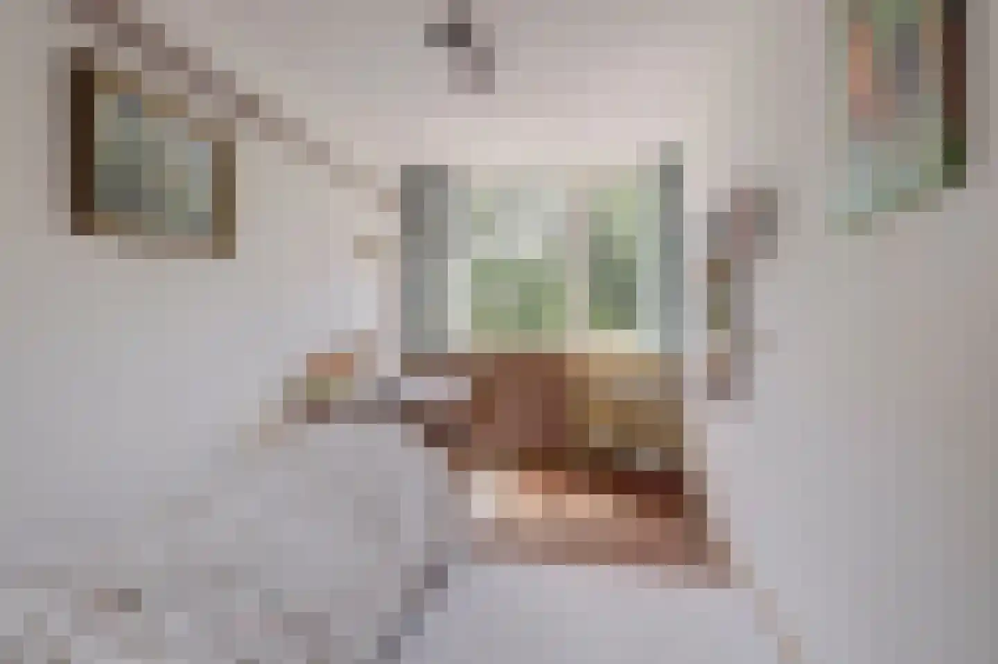 Karolingersweg 182 Wijk bij Duurstede thumbnail 24