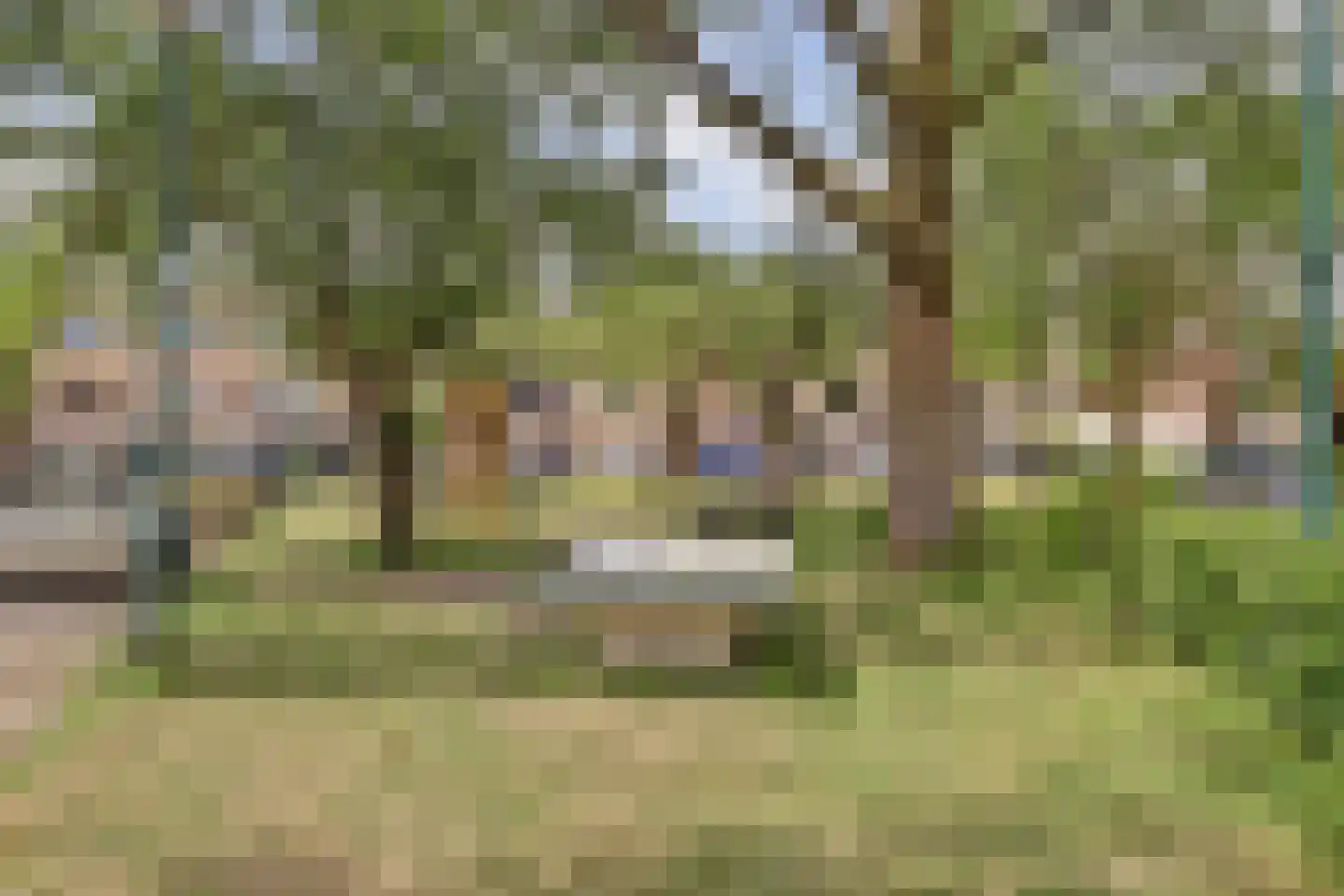 Karolingersweg 182 Wijk bij Duurstede thumbnail 37