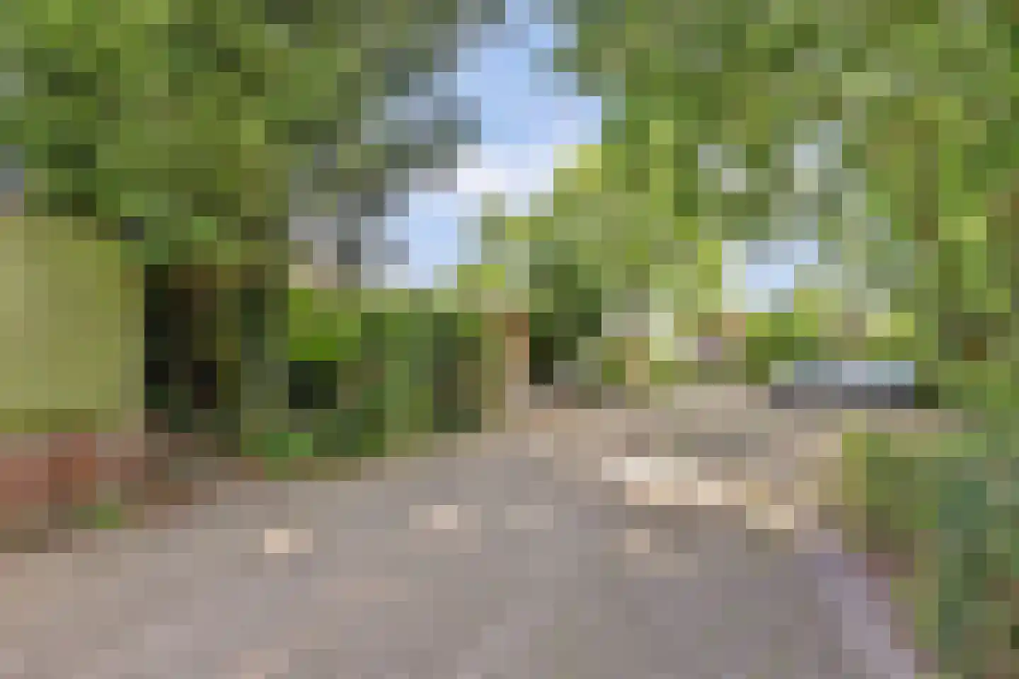 Karolingersweg 182 Wijk bij Duurstede thumbnail 38