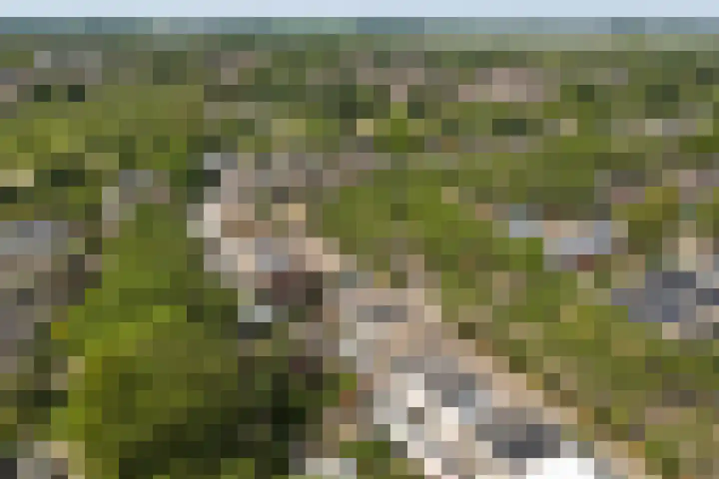 Karolingersweg 182 Wijk bij Duurstede thumbnail 41