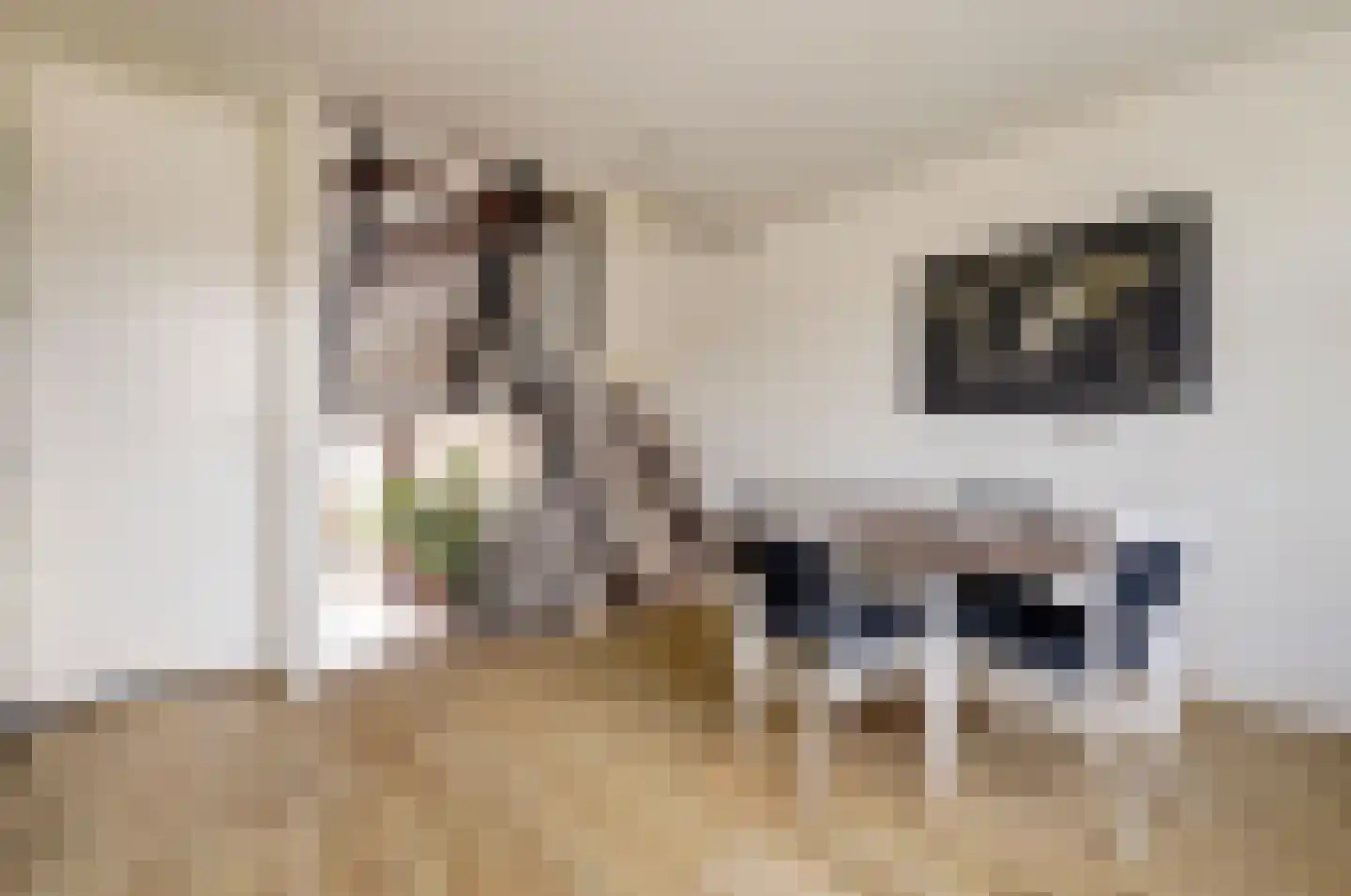 Karolingersweg 208 Wijk bij Duurstede thumbnail 13