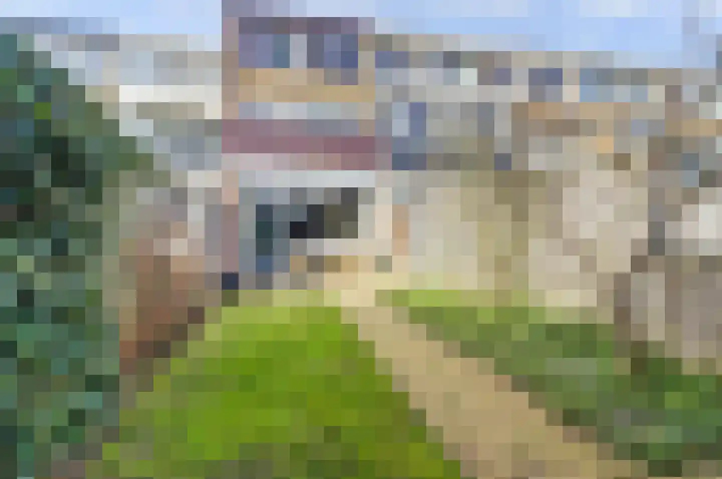 Karolingersweg 208 Wijk bij Duurstede thumbnail 29