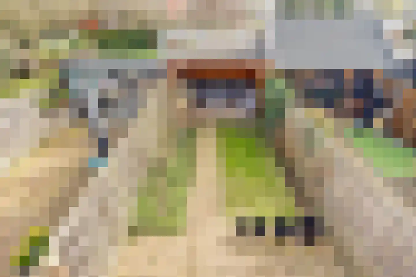 Karolingersweg 208 Wijk bij Duurstede thumbnail 33