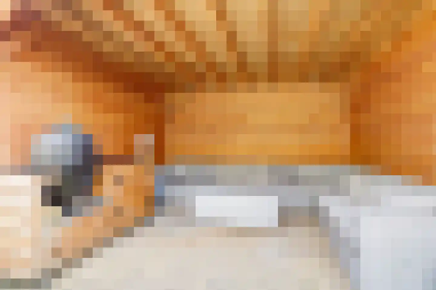 Karolingersweg 208 Wijk bij Duurstede thumbnail 35