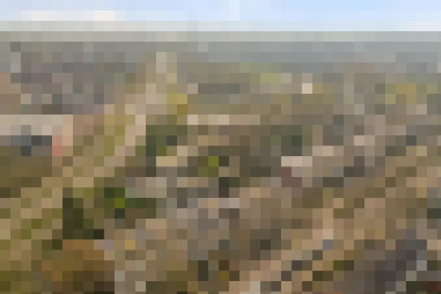Karolingersweg 208 Wijk bij Duurstede thumbnail 43