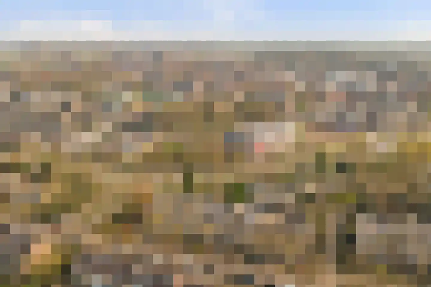 Karolingersweg 208 Wijk bij Duurstede thumbnail 44