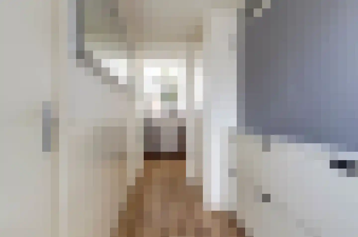 Karolingersweg 208 Wijk bij Duurstede thumbnail 7