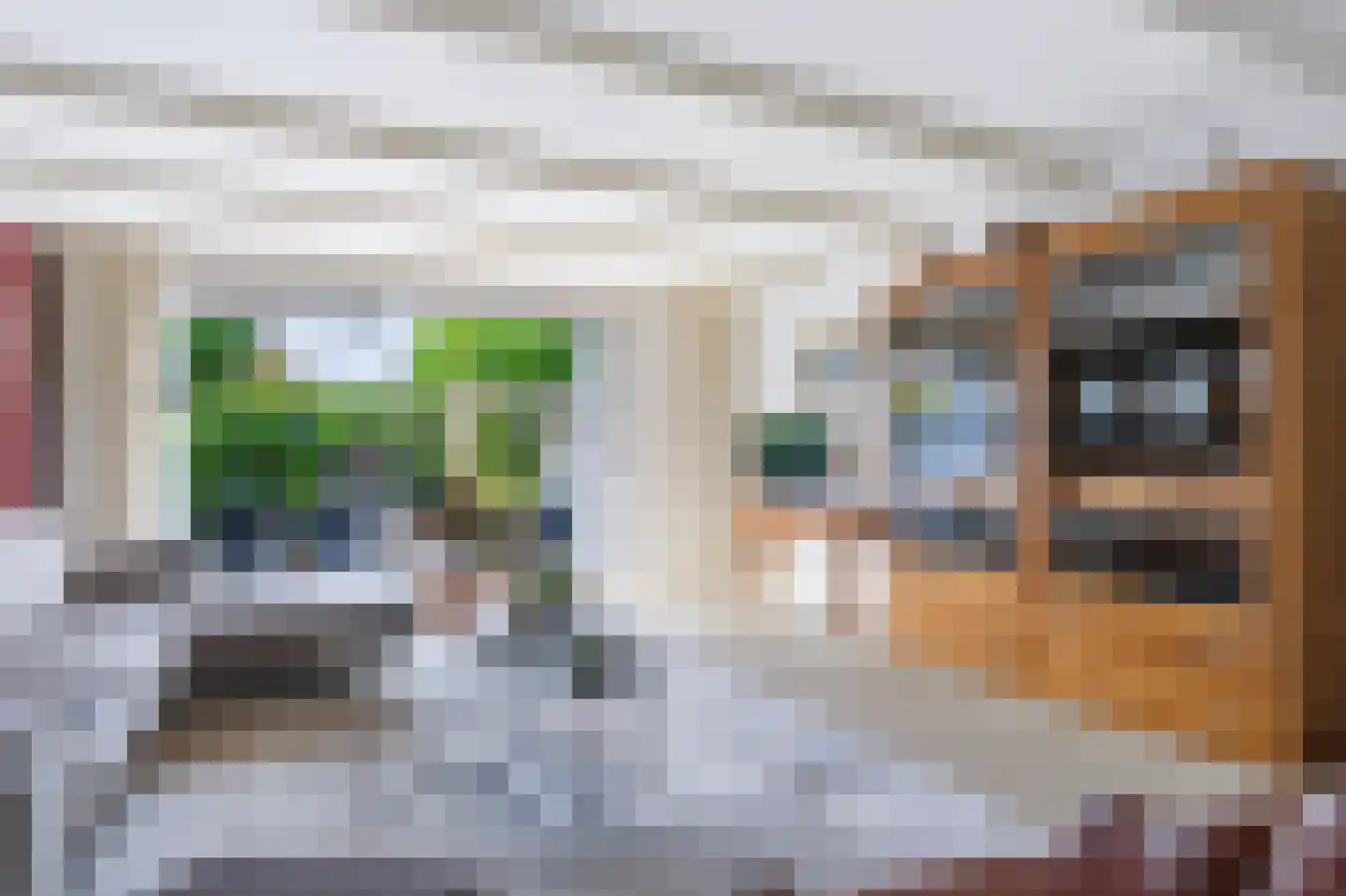 Karolingersweg 38 Wijk bij Duurstede thumbnail 11