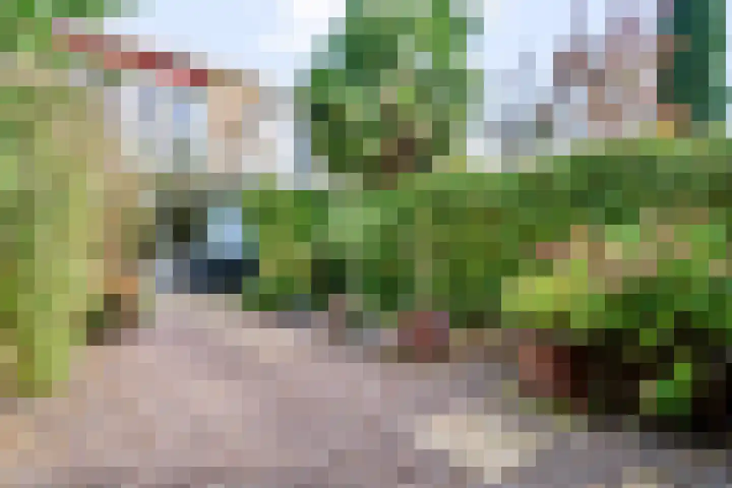 Karolingersweg 38 Wijk bij Duurstede thumbnail 15