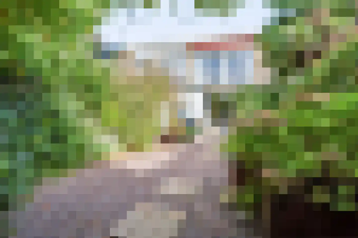 Karolingersweg 38 Wijk bij Duurstede thumbnail 16