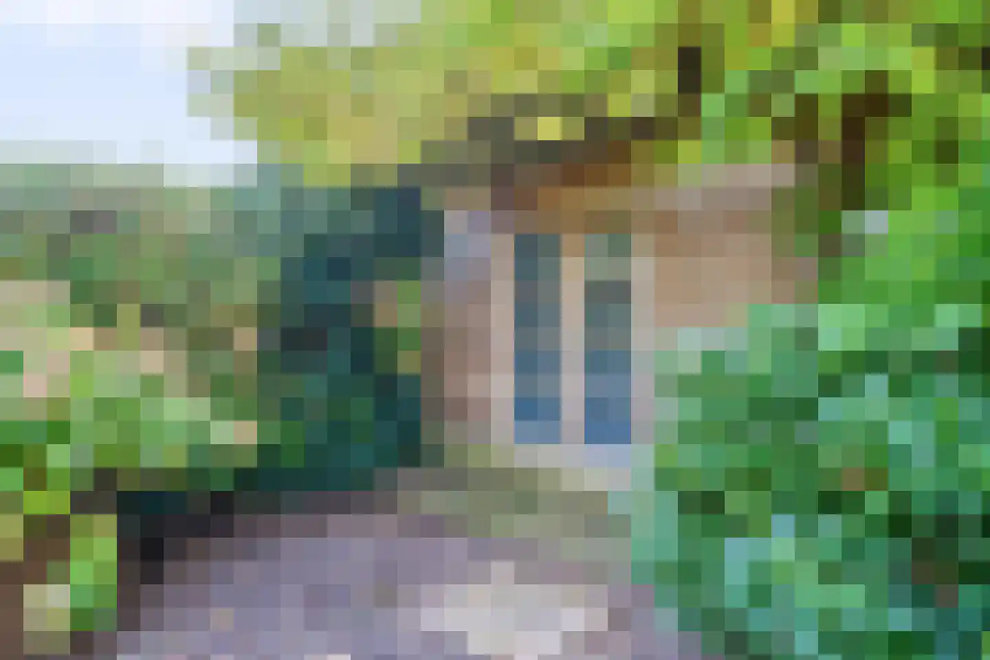 Karolingersweg 38 Wijk bij Duurstede thumbnail 17
