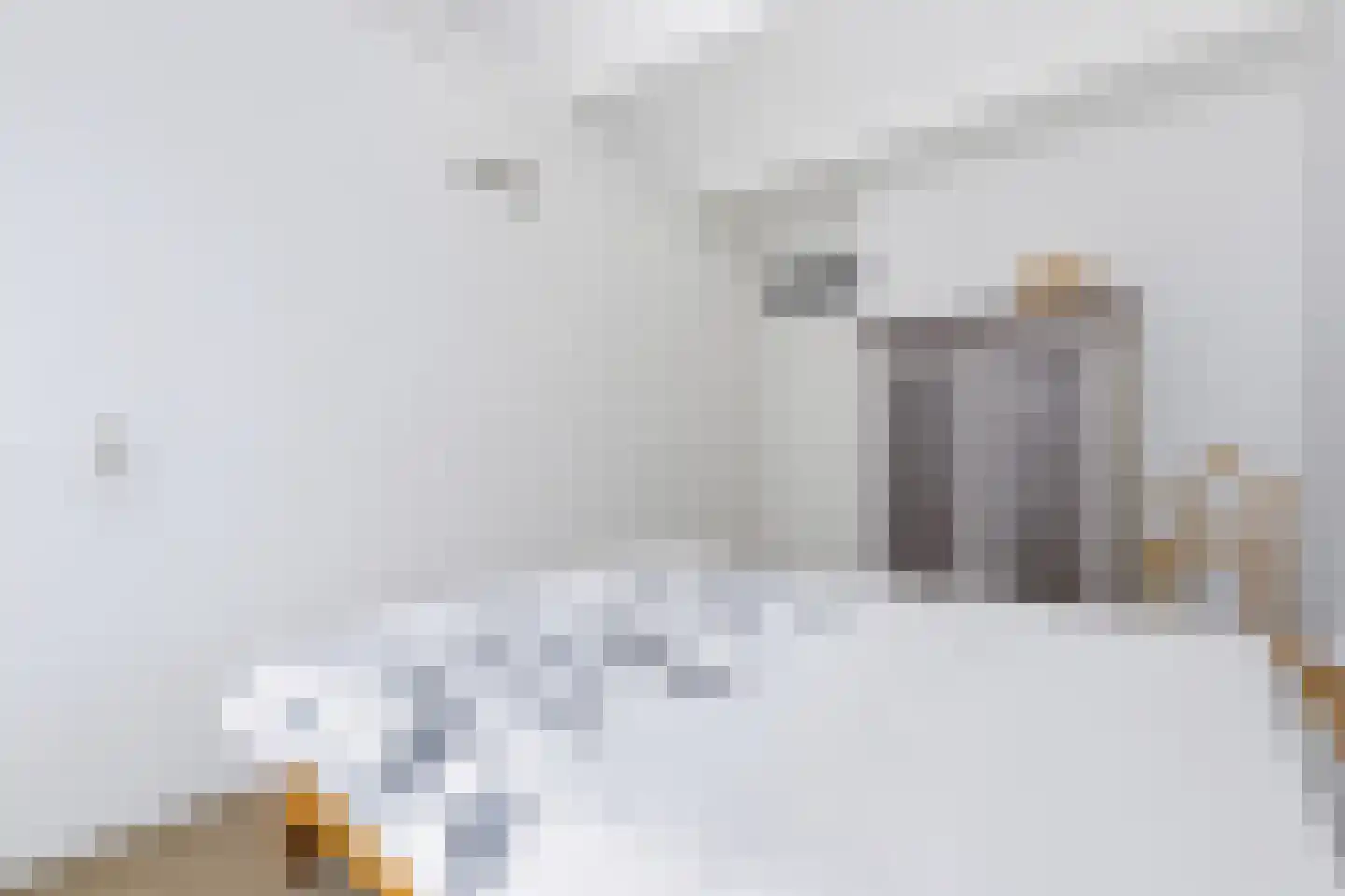 Karolingersweg 38 Wijk bij Duurstede thumbnail 28