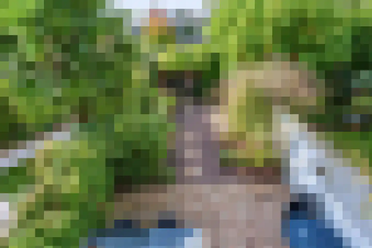 Karolingersweg 38 Wijk bij Duurstede thumbnail 36