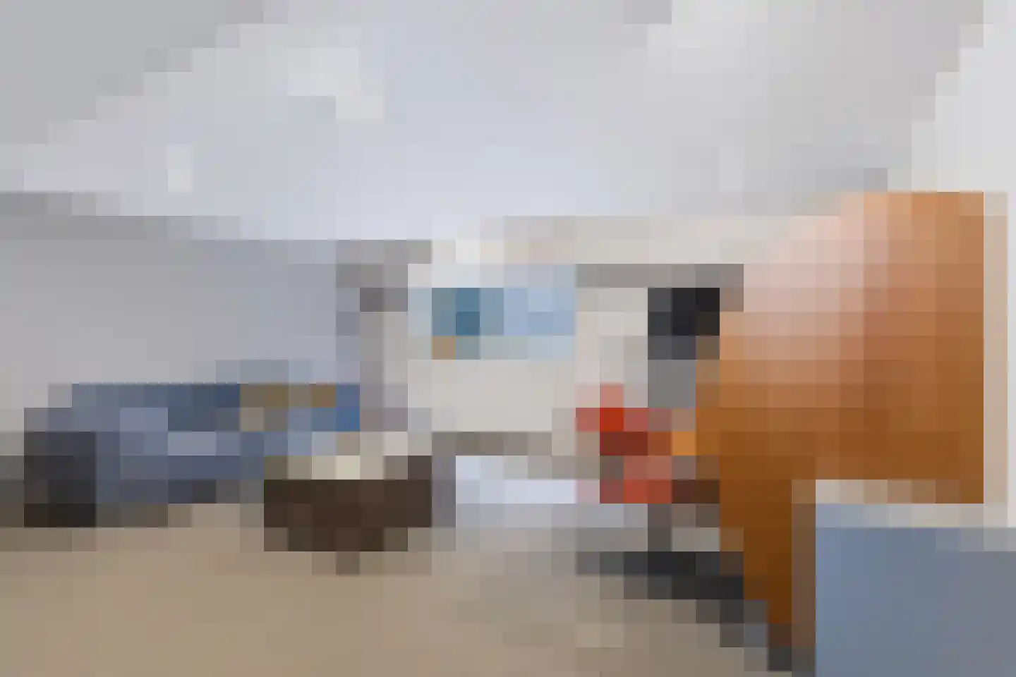Karolingersweg 38 Wijk bij Duurstede thumbnail 37