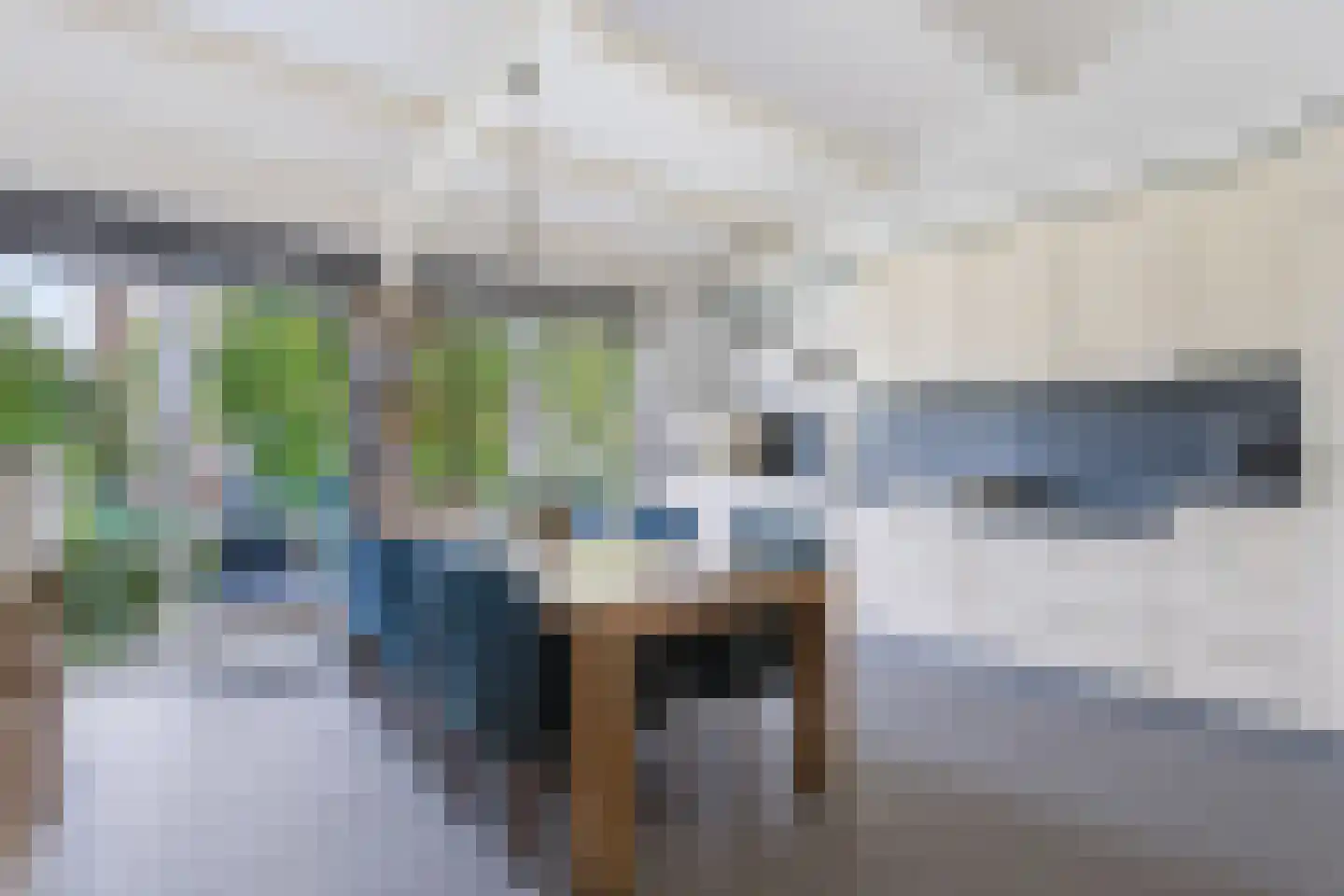 Karolingersweg 38 Wijk bij Duurstede thumbnail 4
